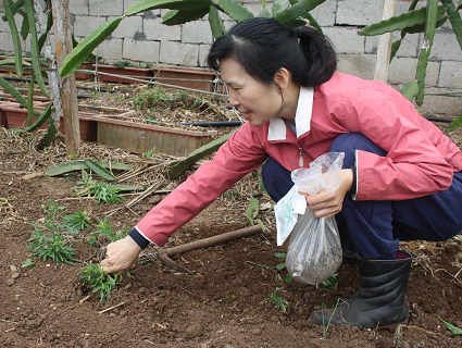 慈濟大愛人物誌