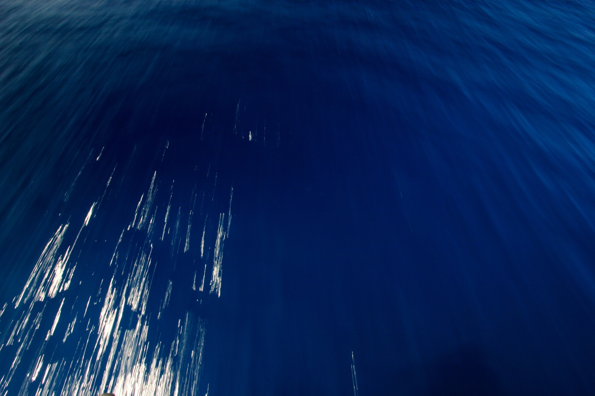 【黑潮觀點】一頭栽入海洋攝影的世界裡 @圖、文/金磊
